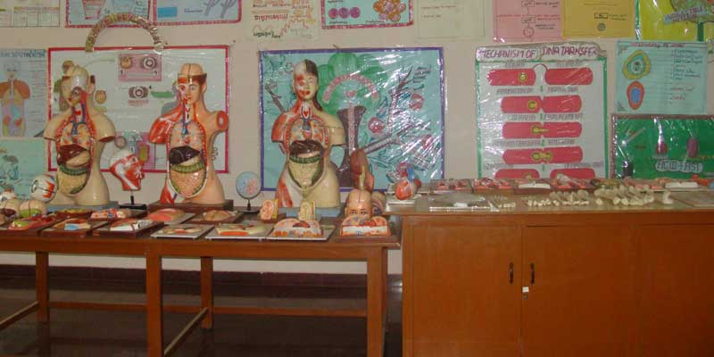 Anatomy Lab