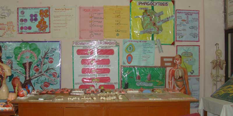 Anatomy Lab