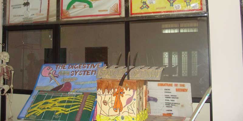 Microbiology Lab